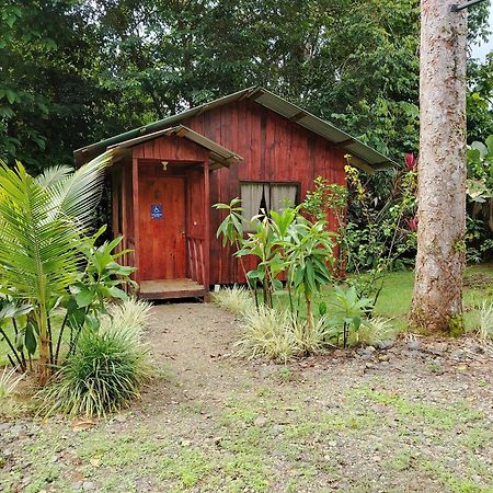 Citronela Lodge Corcovado Дрейк Екстер'єр фото
