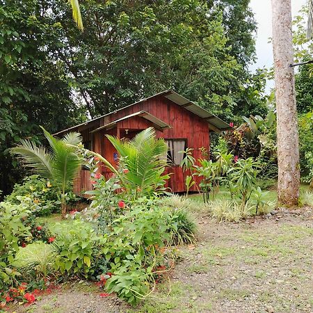 Citronela Lodge Corcovado Дрейк Екстер'єр фото