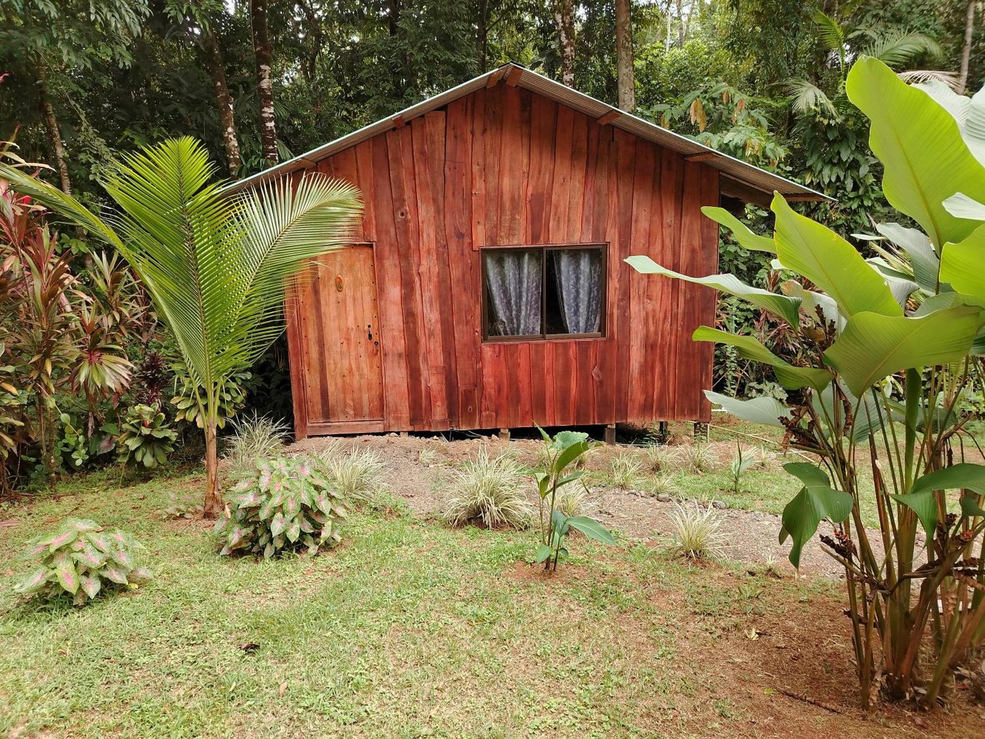 Citronela Lodge Corcovado Дрейк Екстер'єр фото
