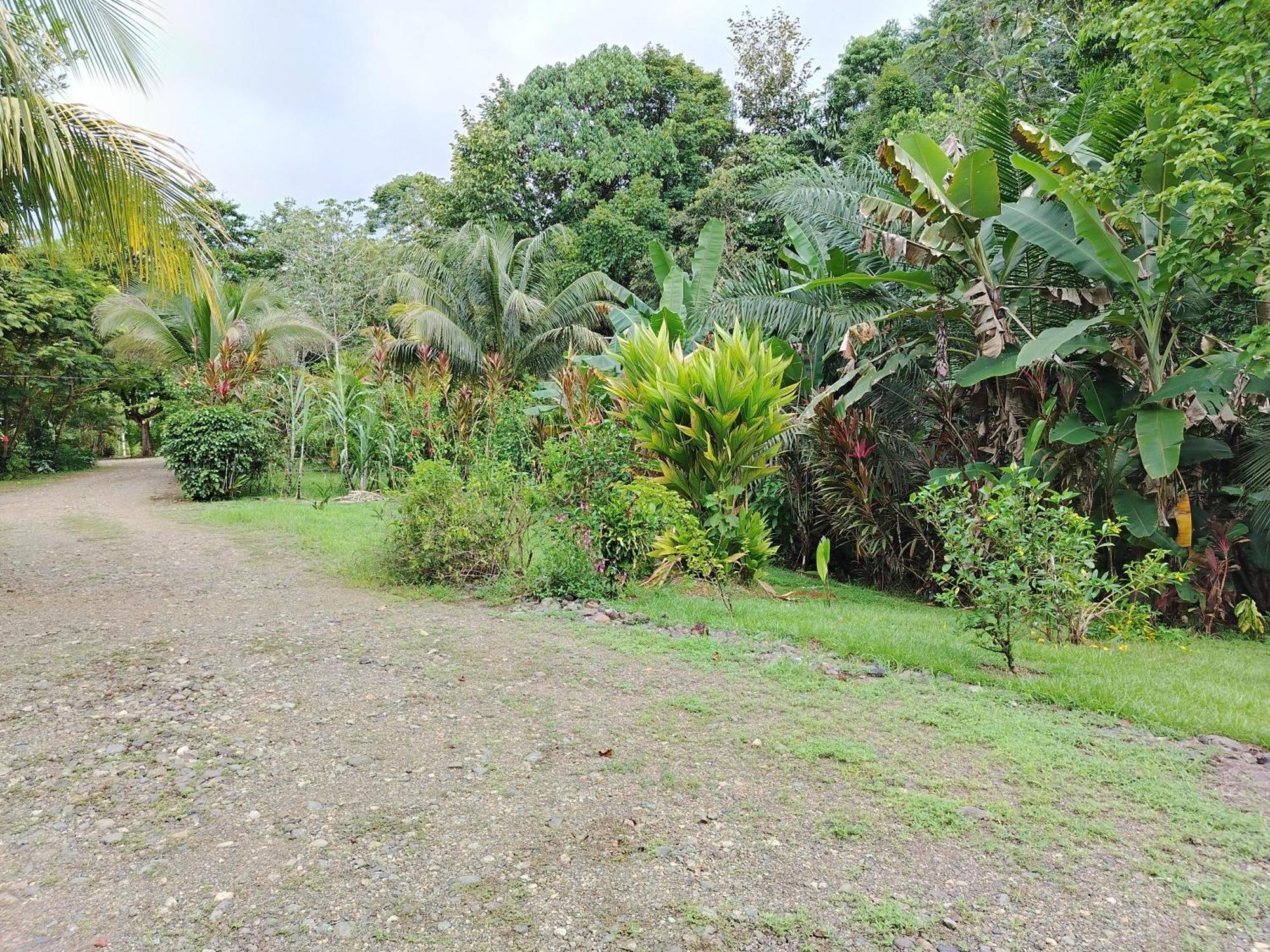 Citronela Lodge Corcovado Дрейк Екстер'єр фото