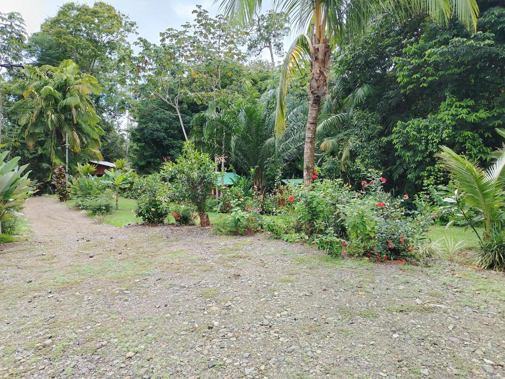 Citronela Lodge Corcovado Дрейк Екстер'єр фото