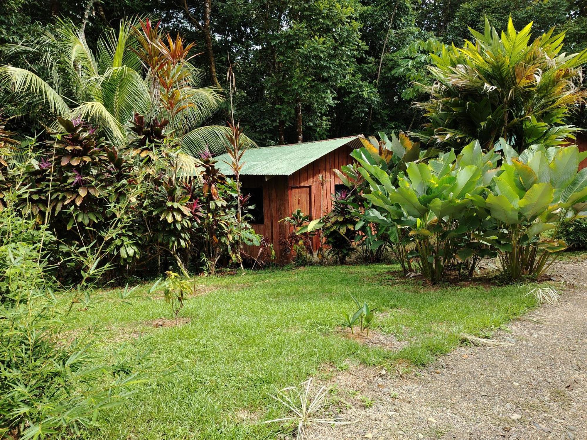 Citronela Lodge Corcovado Дрейк Екстер'єр фото