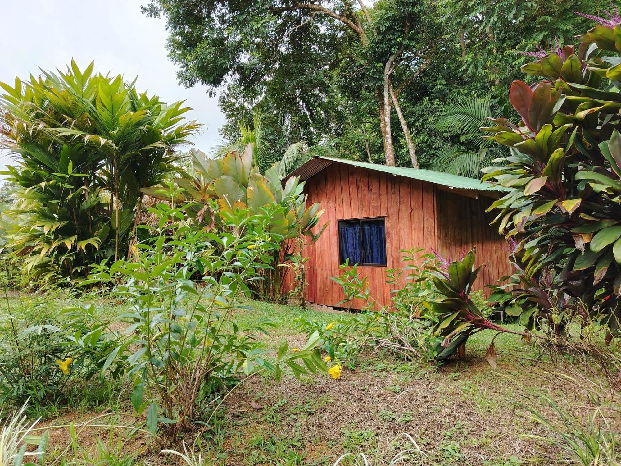 Citronela Lodge Corcovado Дрейк Екстер'єр фото