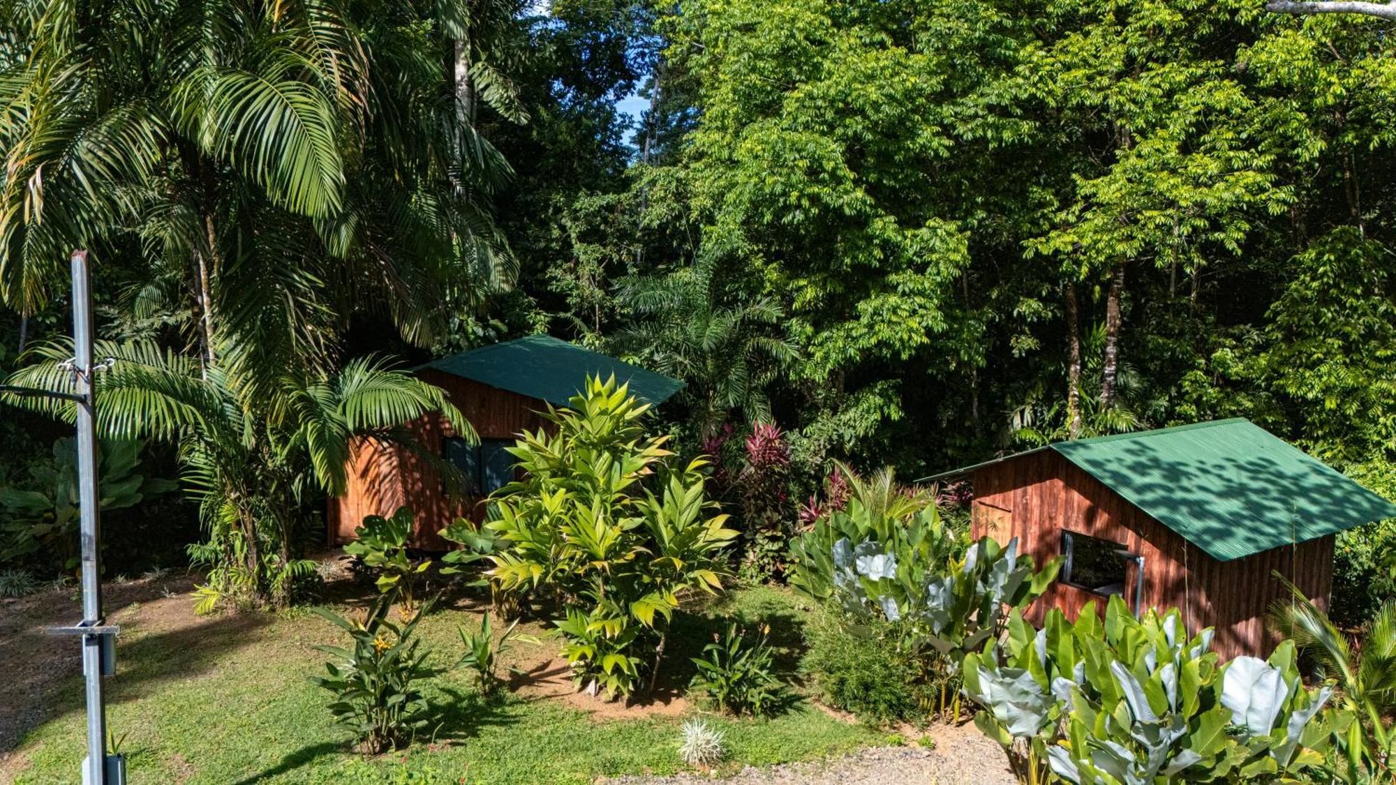 Citronela Lodge Corcovado Дрейк Екстер'єр фото