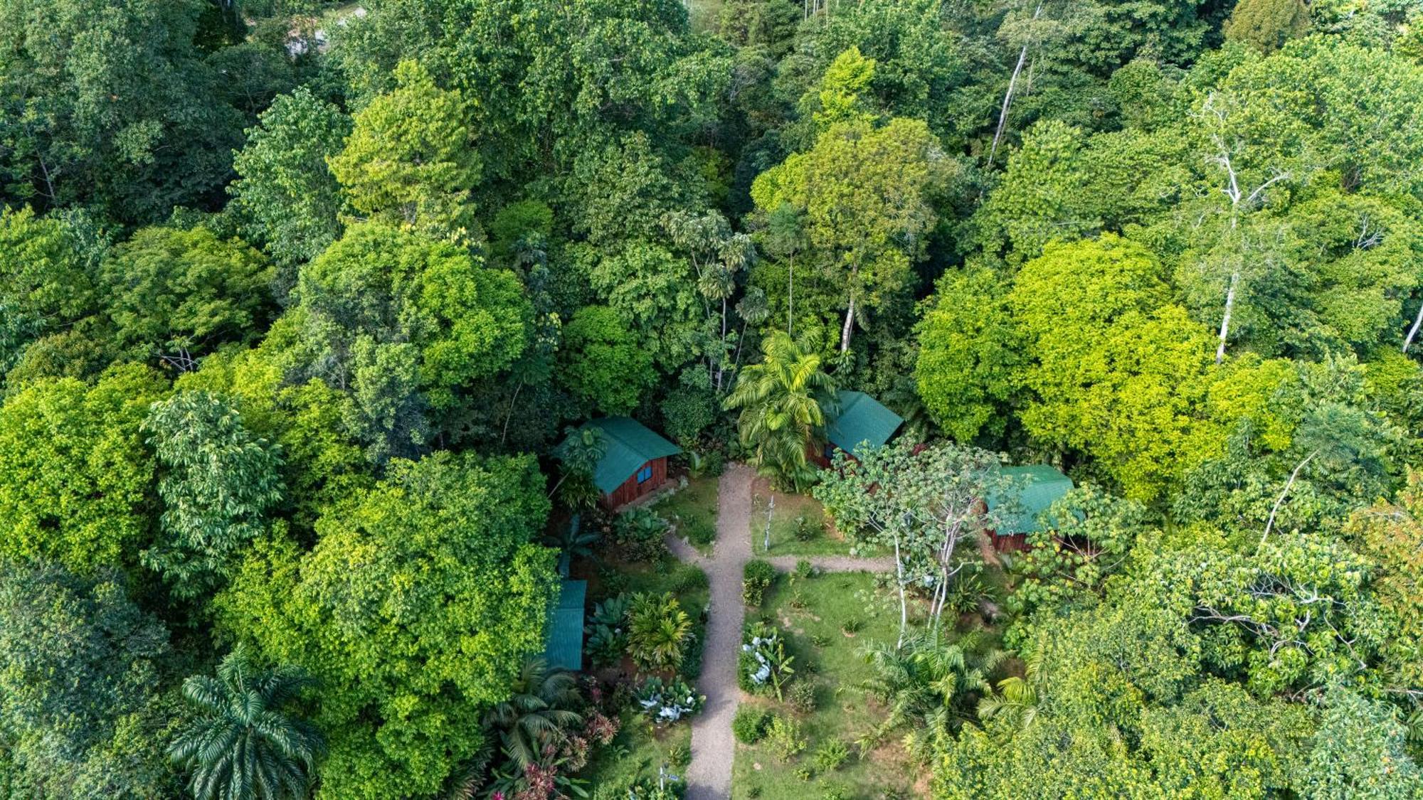 Citronela Lodge Corcovado Дрейк Екстер'єр фото