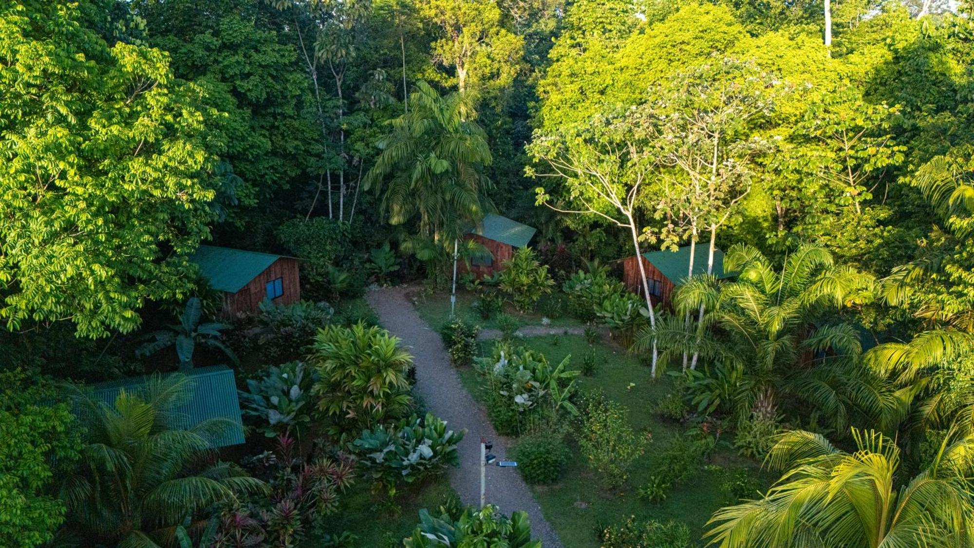 Citronela Lodge Corcovado Дрейк Екстер'єр фото