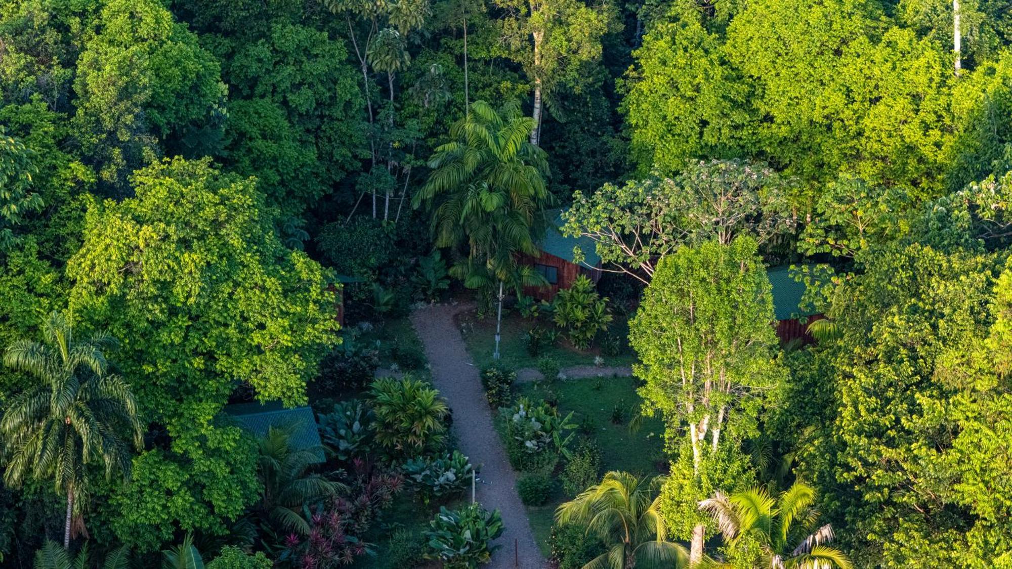 Citronela Lodge Corcovado Дрейк Екстер'єр фото