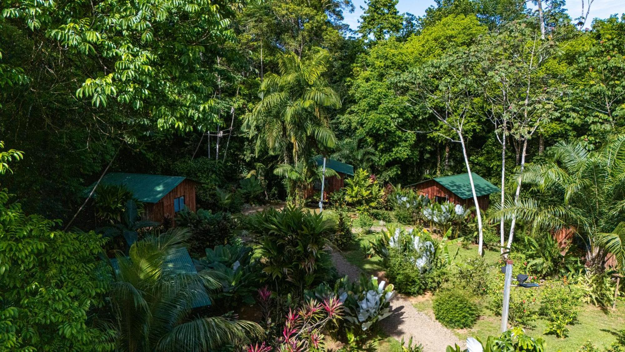 Citronela Lodge Corcovado Дрейк Екстер'єр фото
