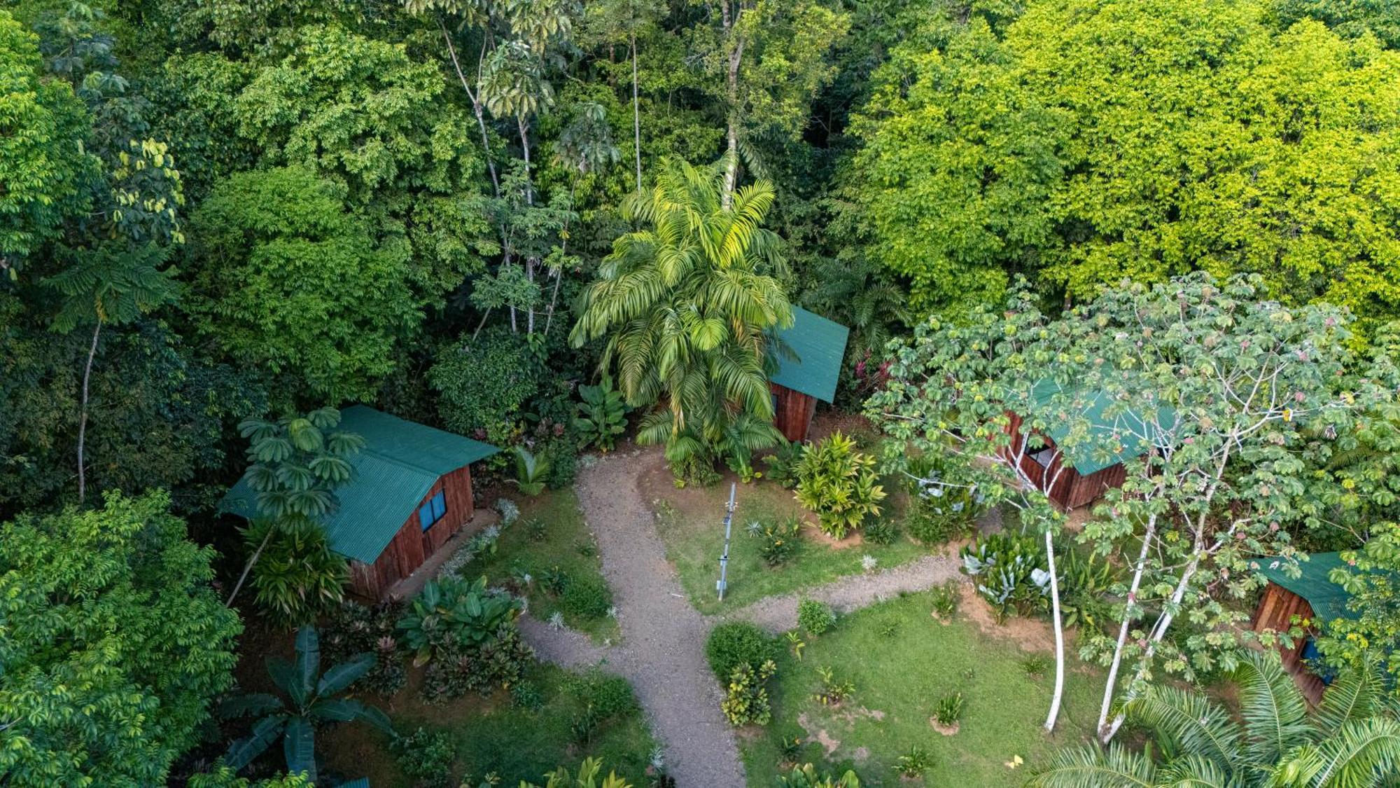 Citronela Lodge Corcovado Дрейк Екстер'єр фото