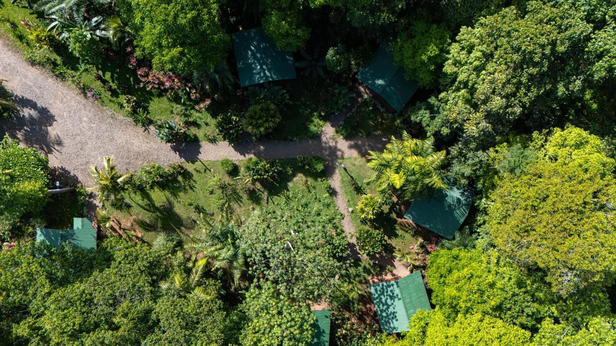 Citronela Lodge Corcovado Дрейк Екстер'єр фото