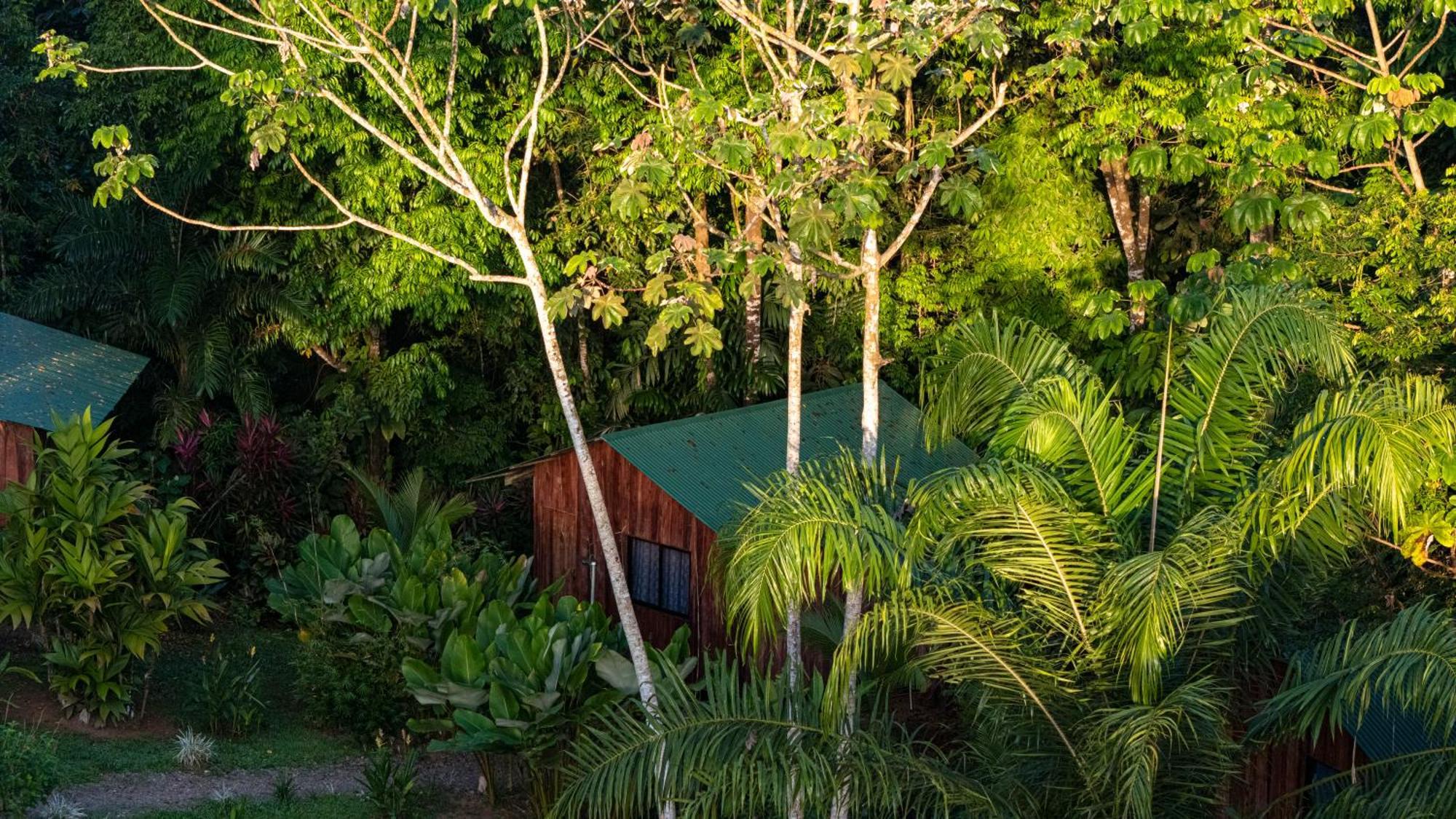 Citronela Lodge Corcovado Дрейк Екстер'єр фото