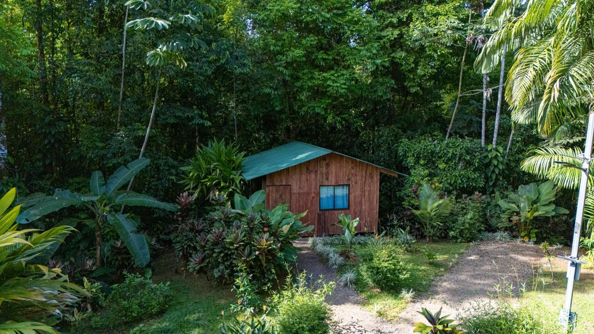 Citronela Lodge Corcovado Дрейк Екстер'єр фото