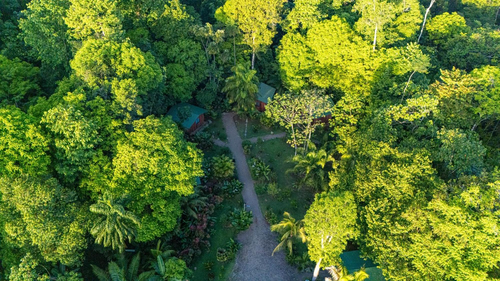 Citronela Lodge Corcovado Дрейк Екстер'єр фото
