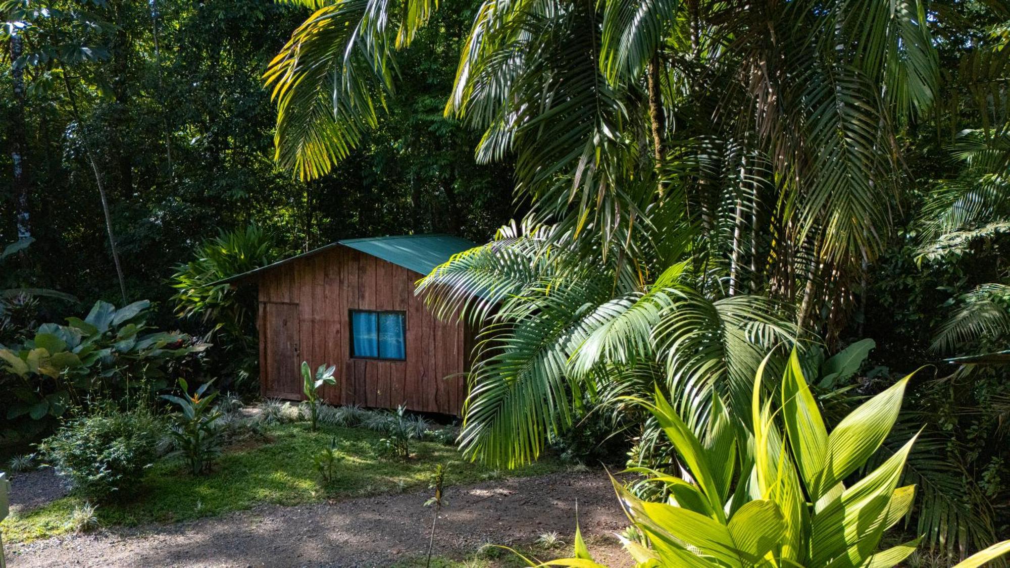 Citronela Lodge Corcovado Дрейк Екстер'єр фото