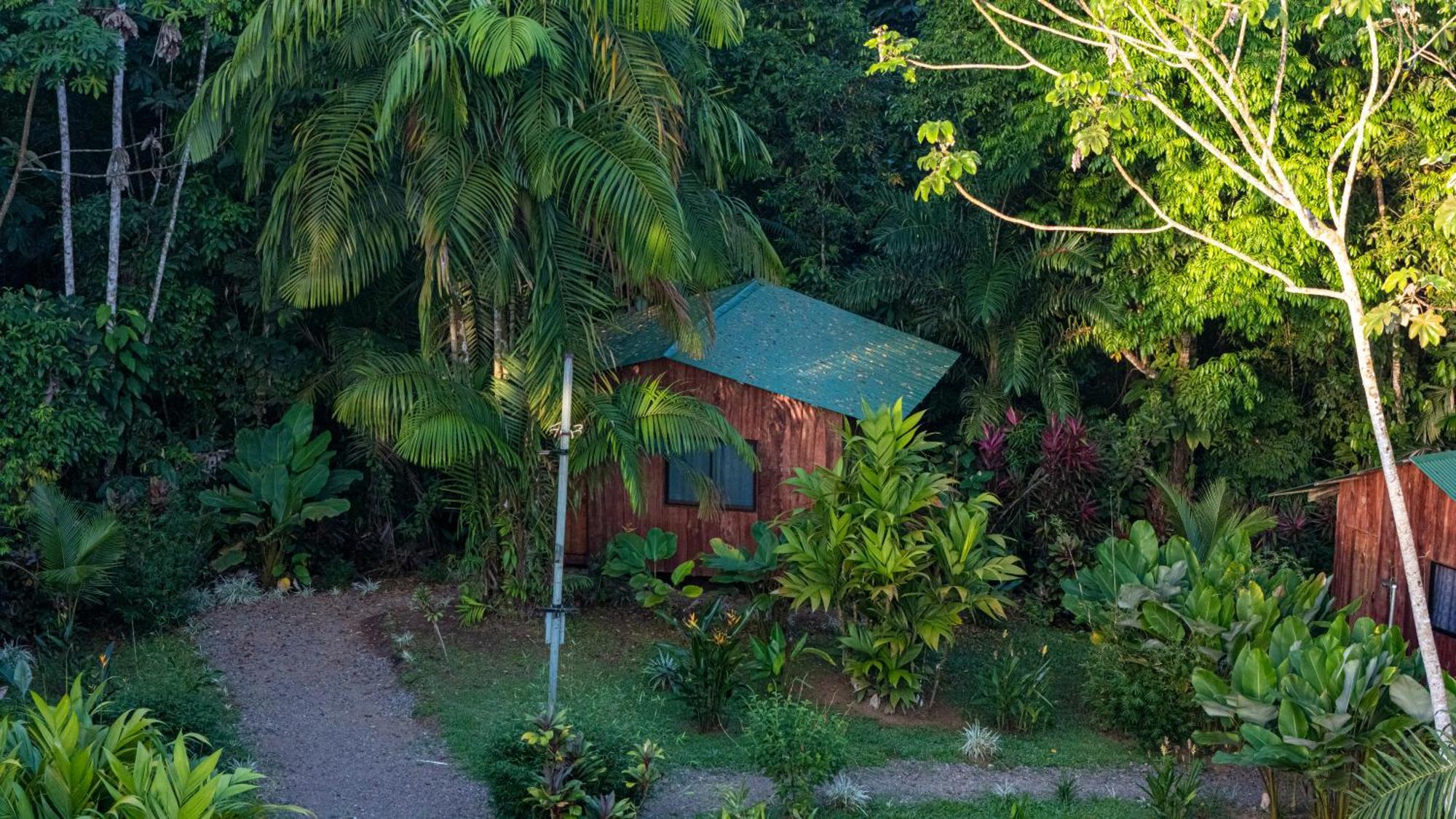 Citronela Lodge Corcovado Дрейк Екстер'єр фото