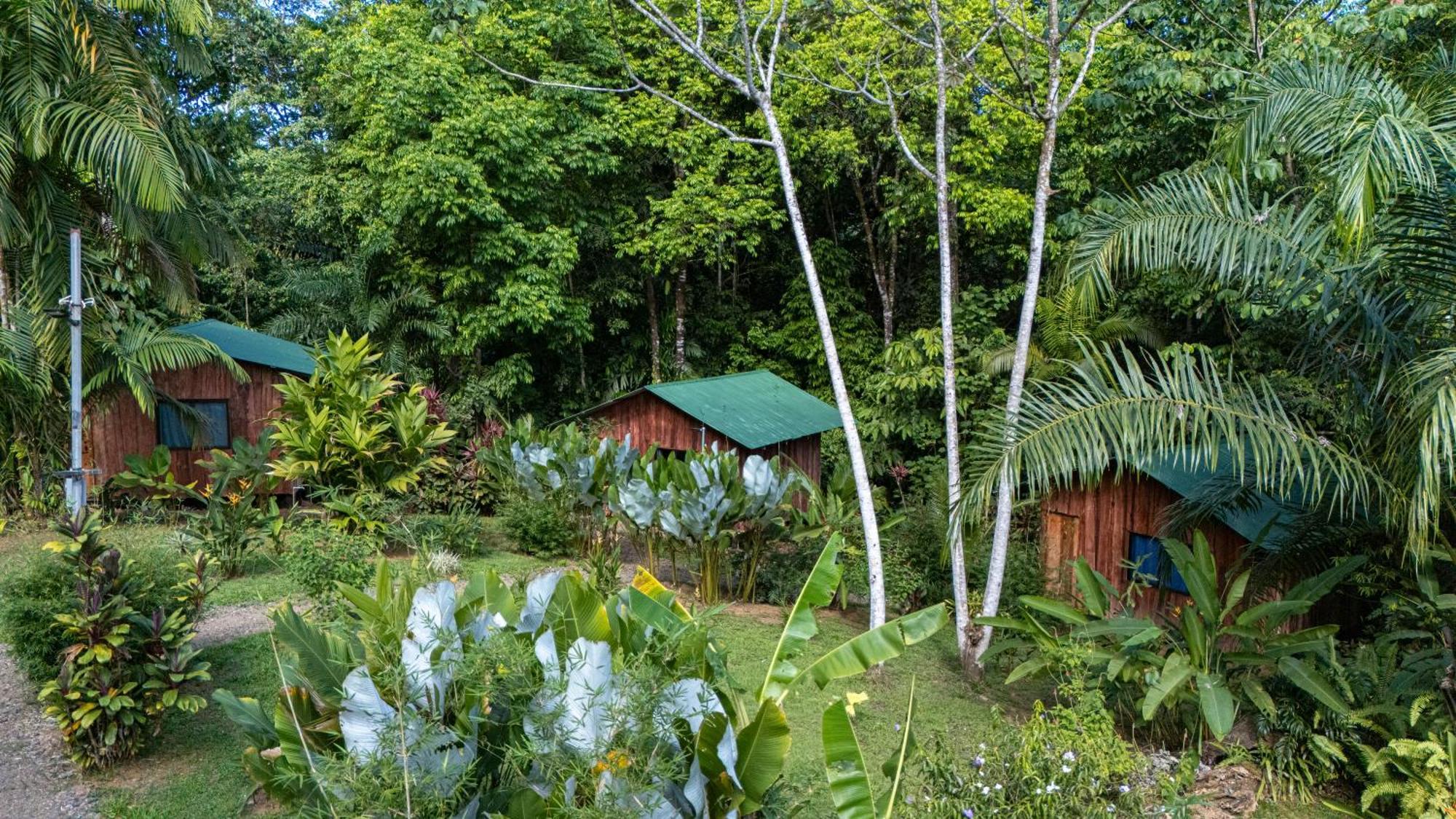 Citronela Lodge Corcovado Дрейк Екстер'єр фото