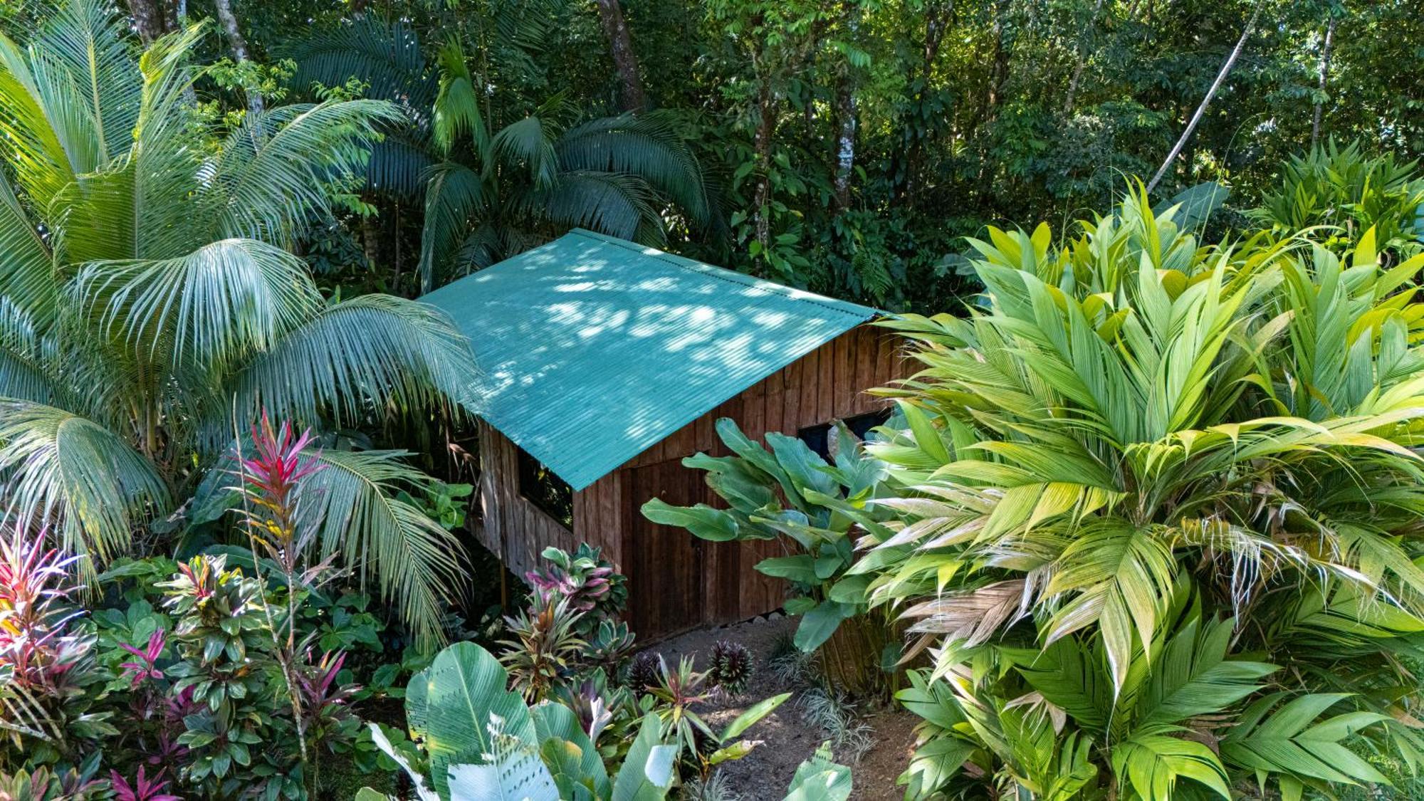 Citronela Lodge Corcovado Дрейк Екстер'єр фото