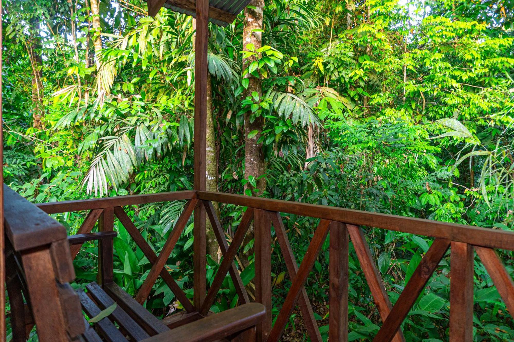 Citronela Lodge Corcovado Дрейк Екстер'єр фото