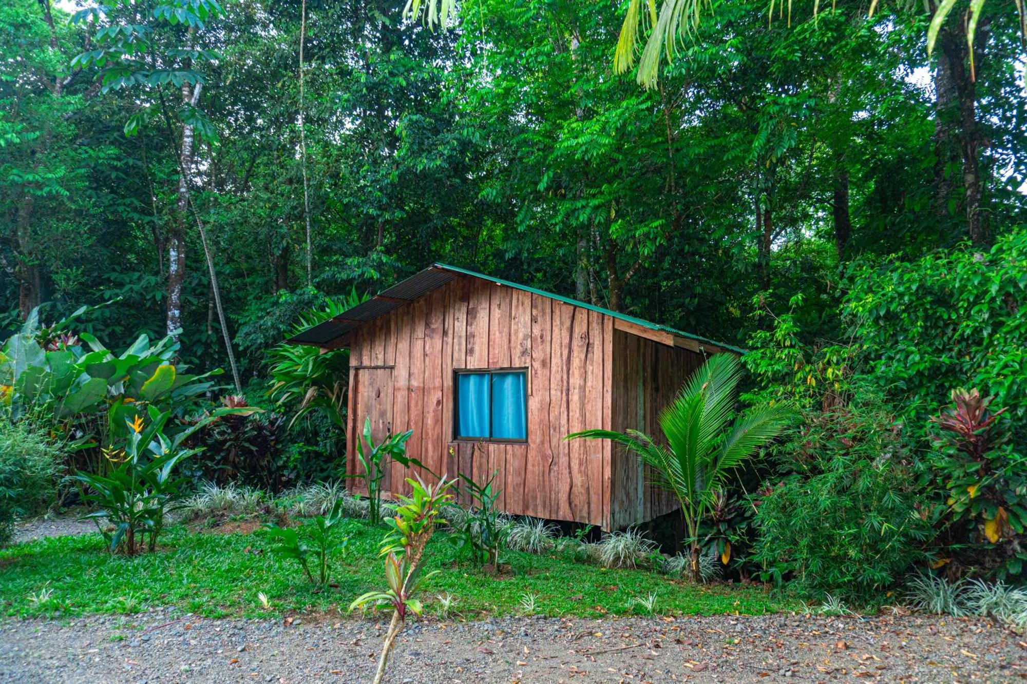 Citronela Lodge Corcovado Дрейк Екстер'єр фото