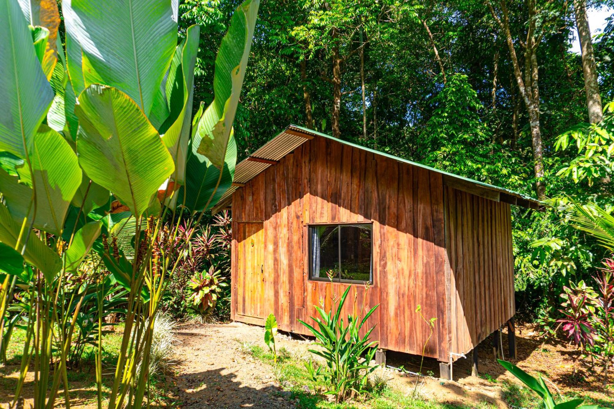Citronela Lodge Corcovado Дрейк Екстер'єр фото