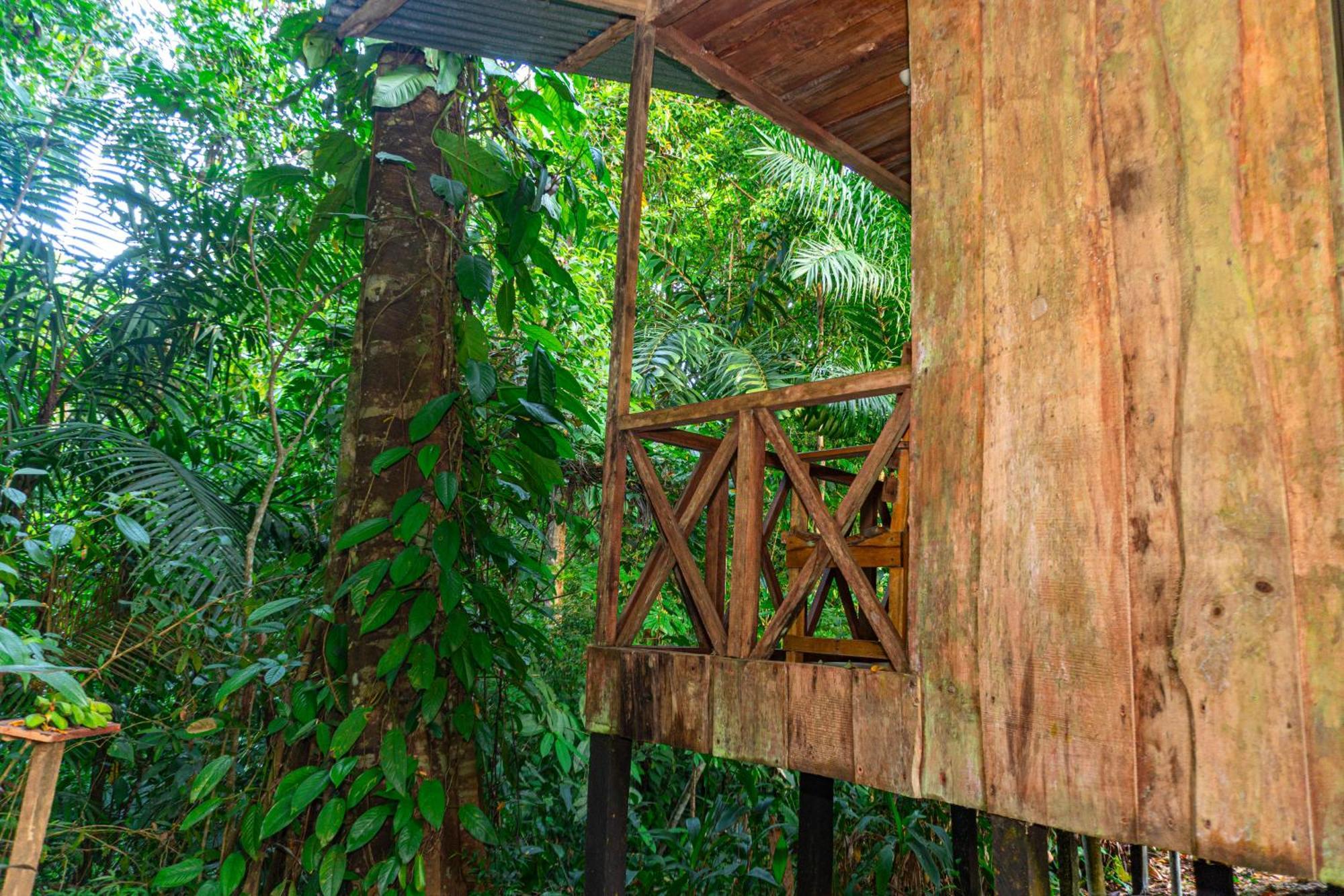 Citronela Lodge Corcovado Дрейк Екстер'єр фото