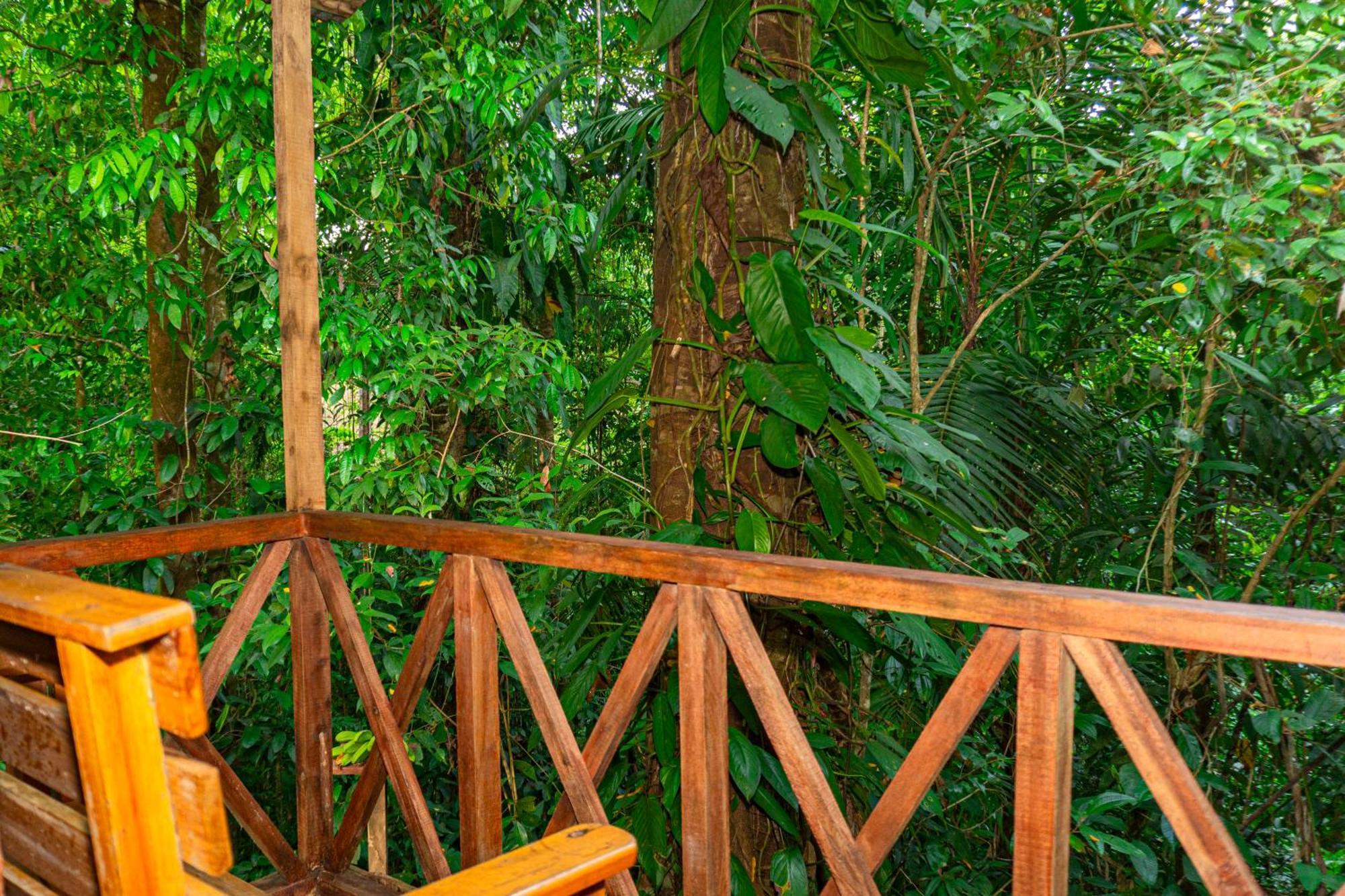 Citronela Lodge Corcovado Дрейк Екстер'єр фото
