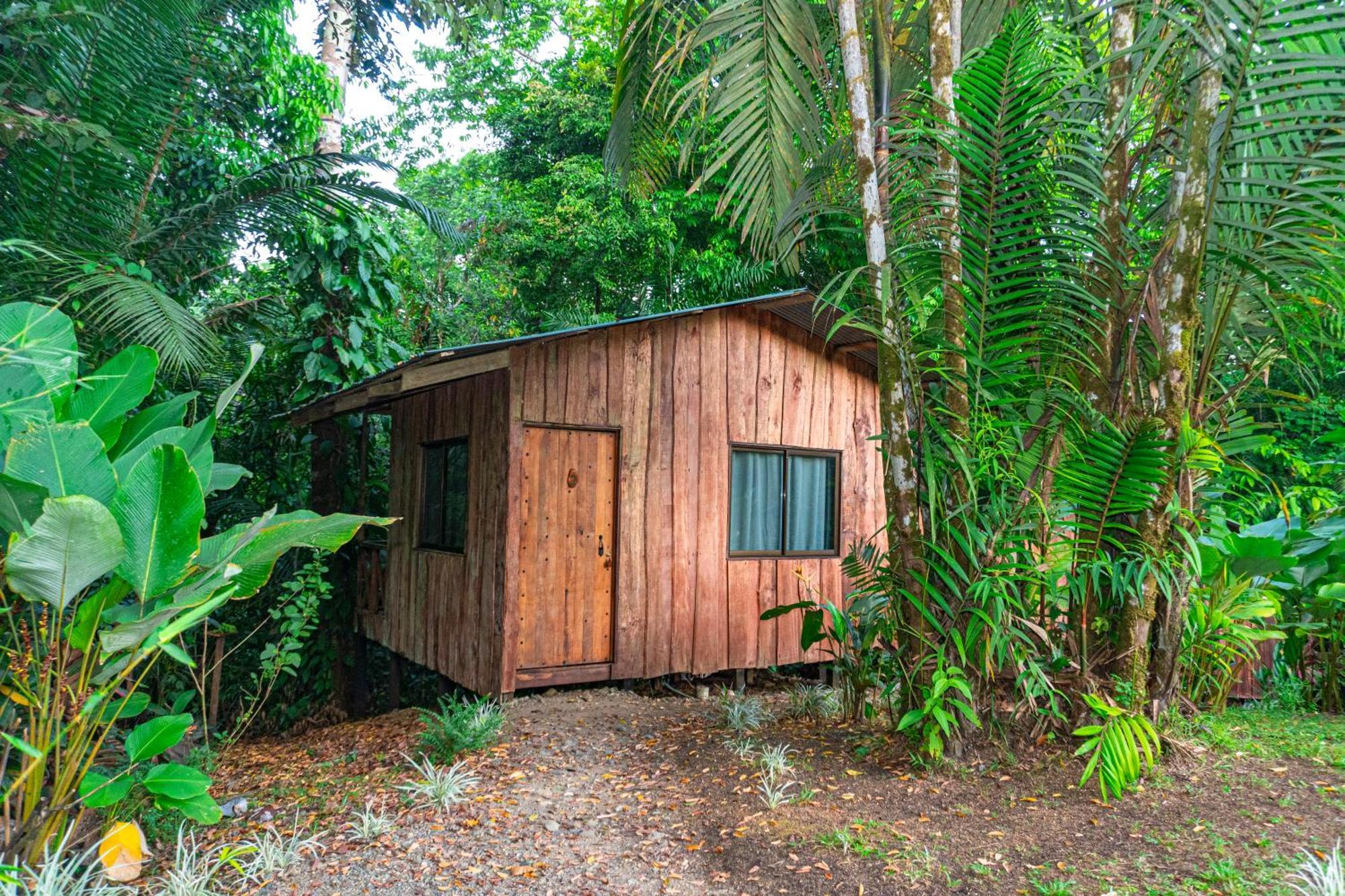 Citronela Lodge Corcovado Дрейк Екстер'єр фото