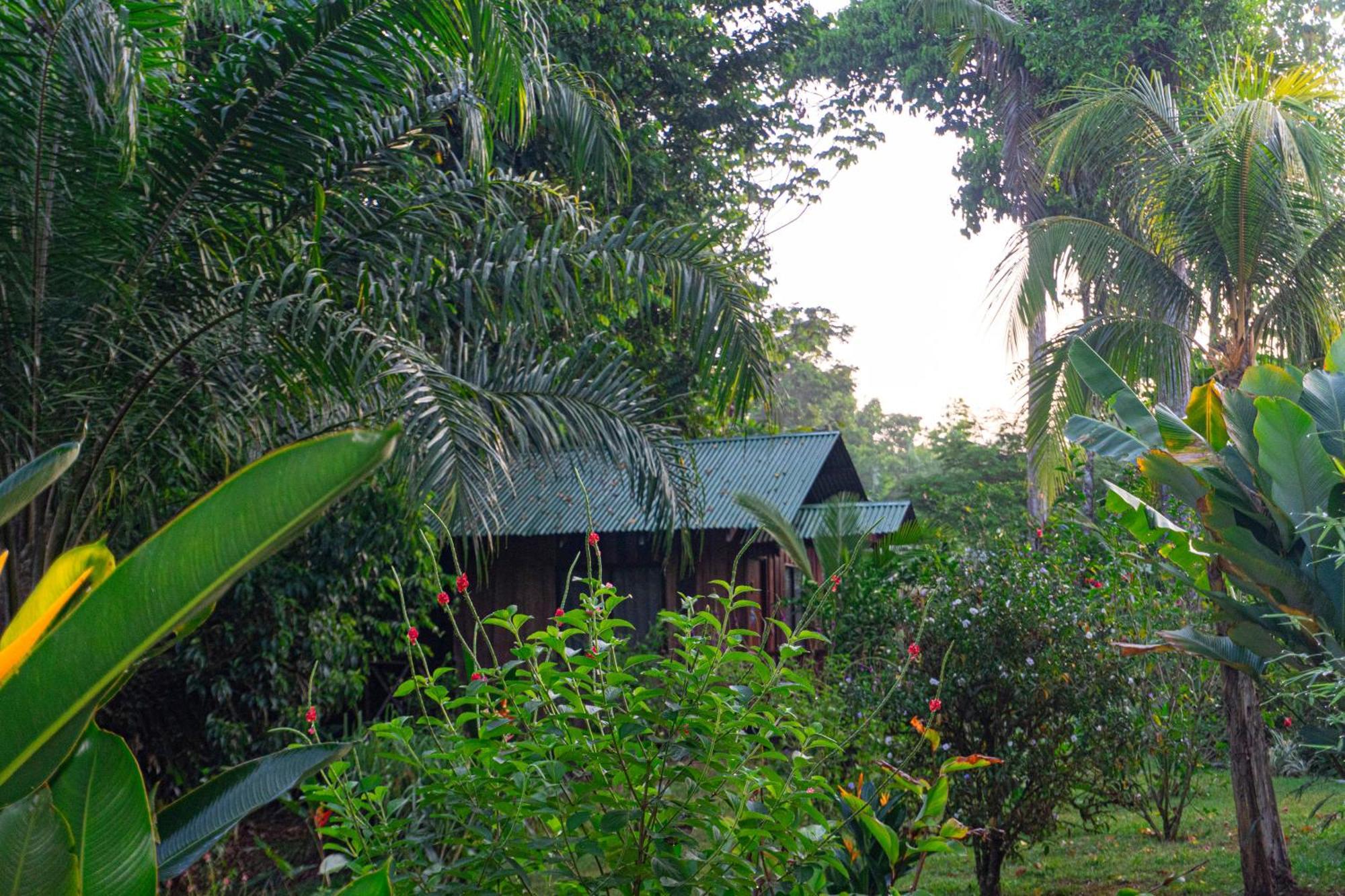 Citronela Lodge Corcovado Дрейк Екстер'єр фото