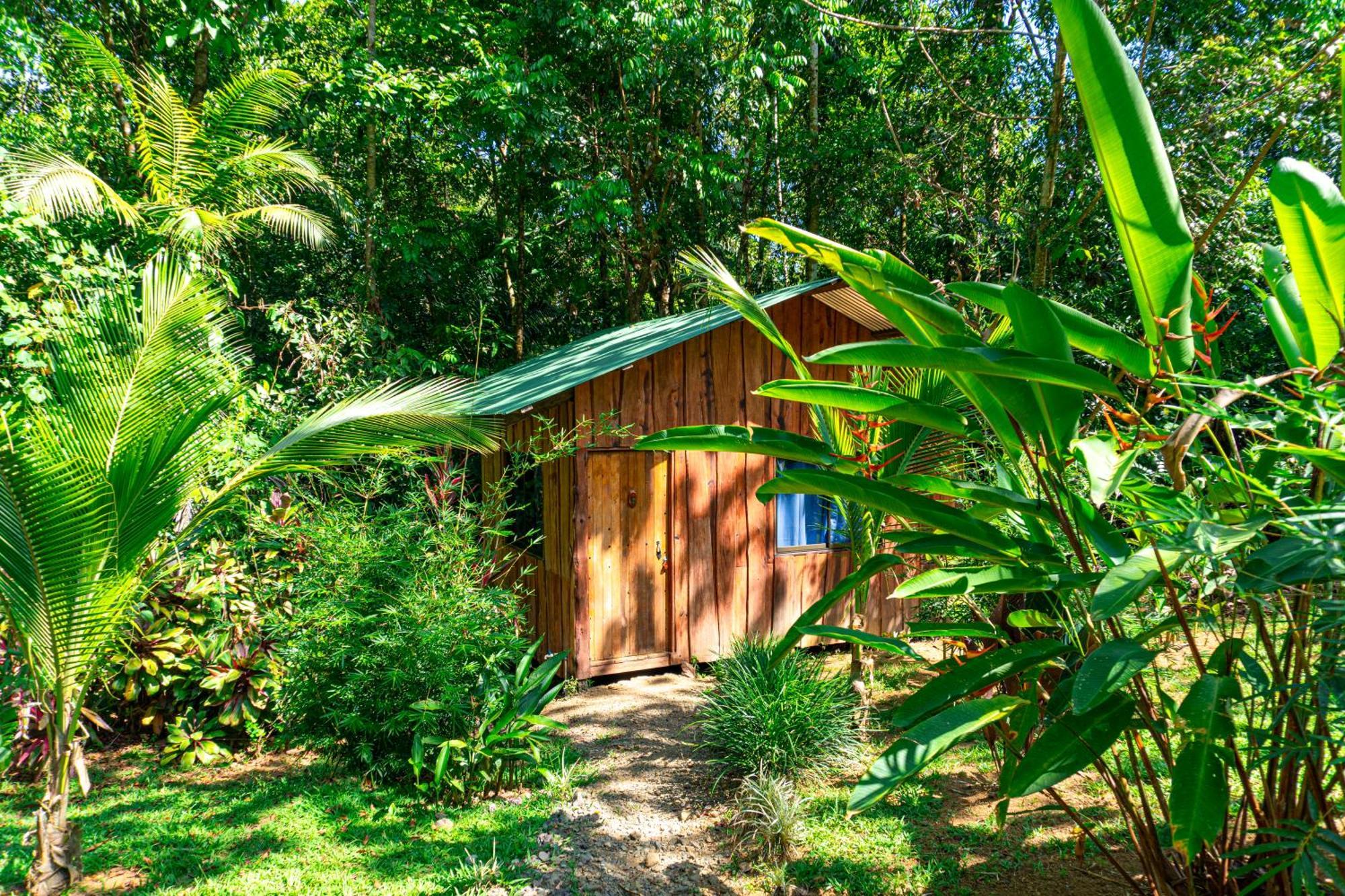 Citronela Lodge Corcovado Дрейк Екстер'єр фото