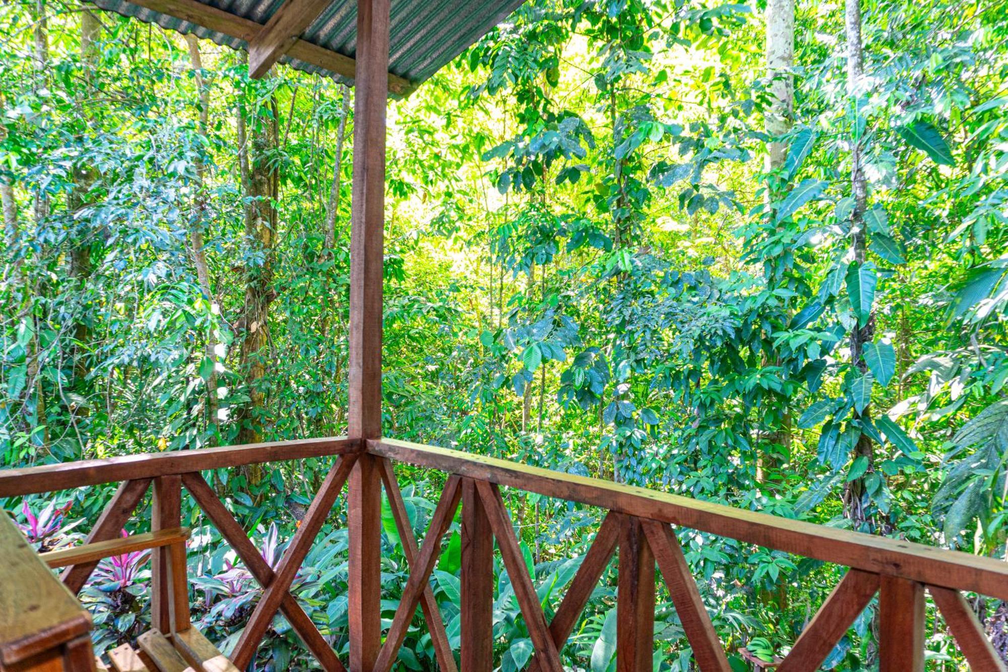 Citronela Lodge Corcovado Дрейк Екстер'єр фото