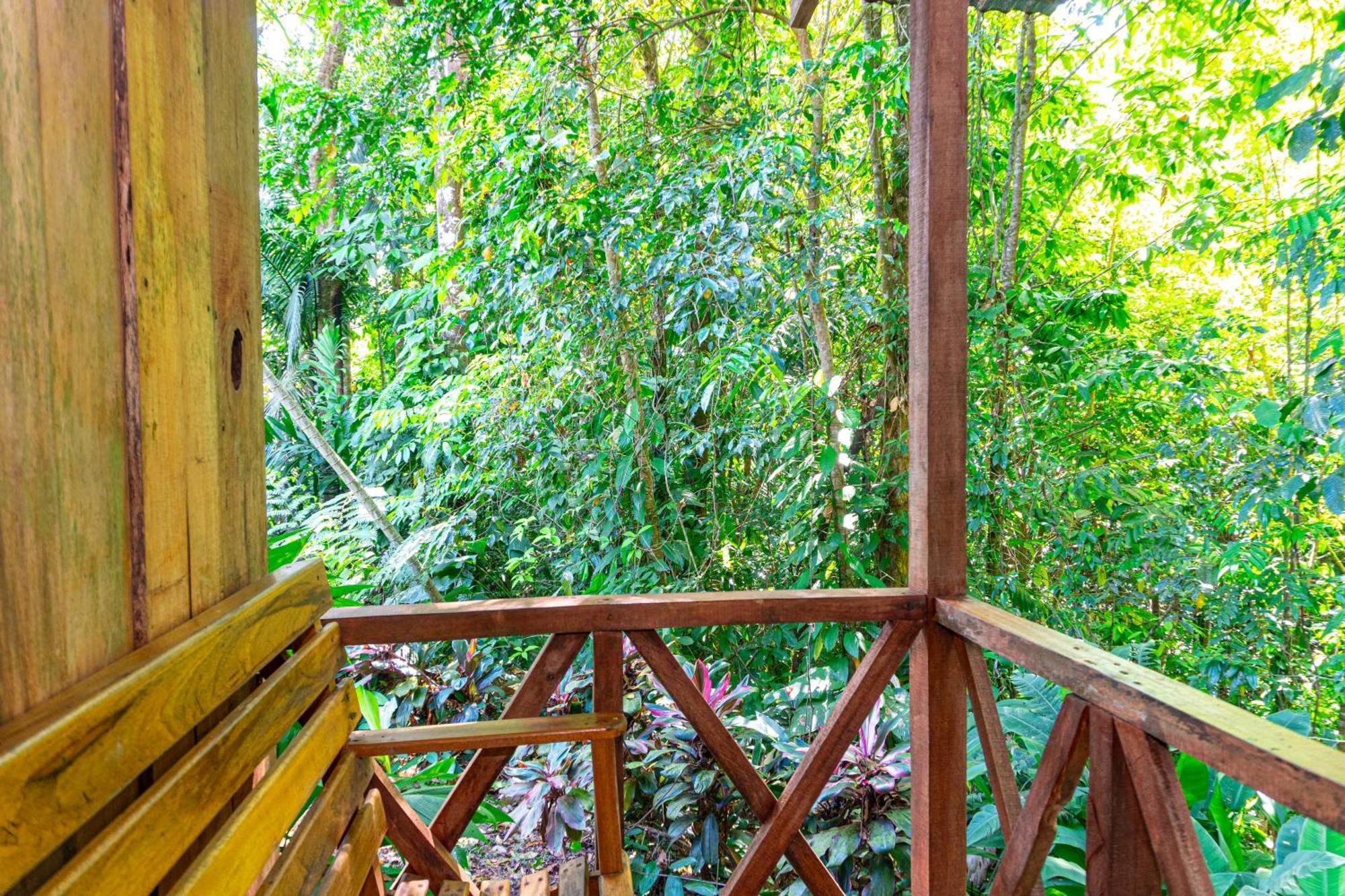 Citronela Lodge Corcovado Дрейк Екстер'єр фото