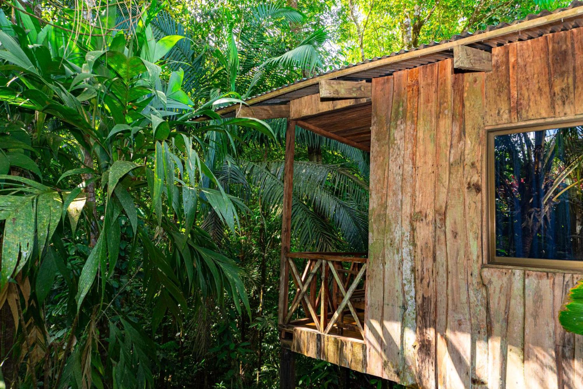 Citronela Lodge Corcovado Дрейк Екстер'єр фото
