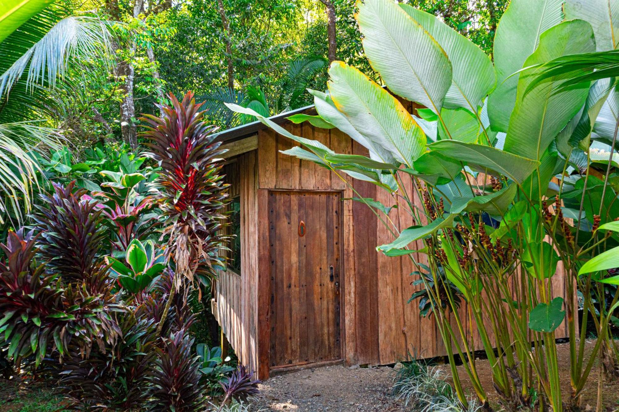 Citronela Lodge Corcovado Дрейк Екстер'єр фото