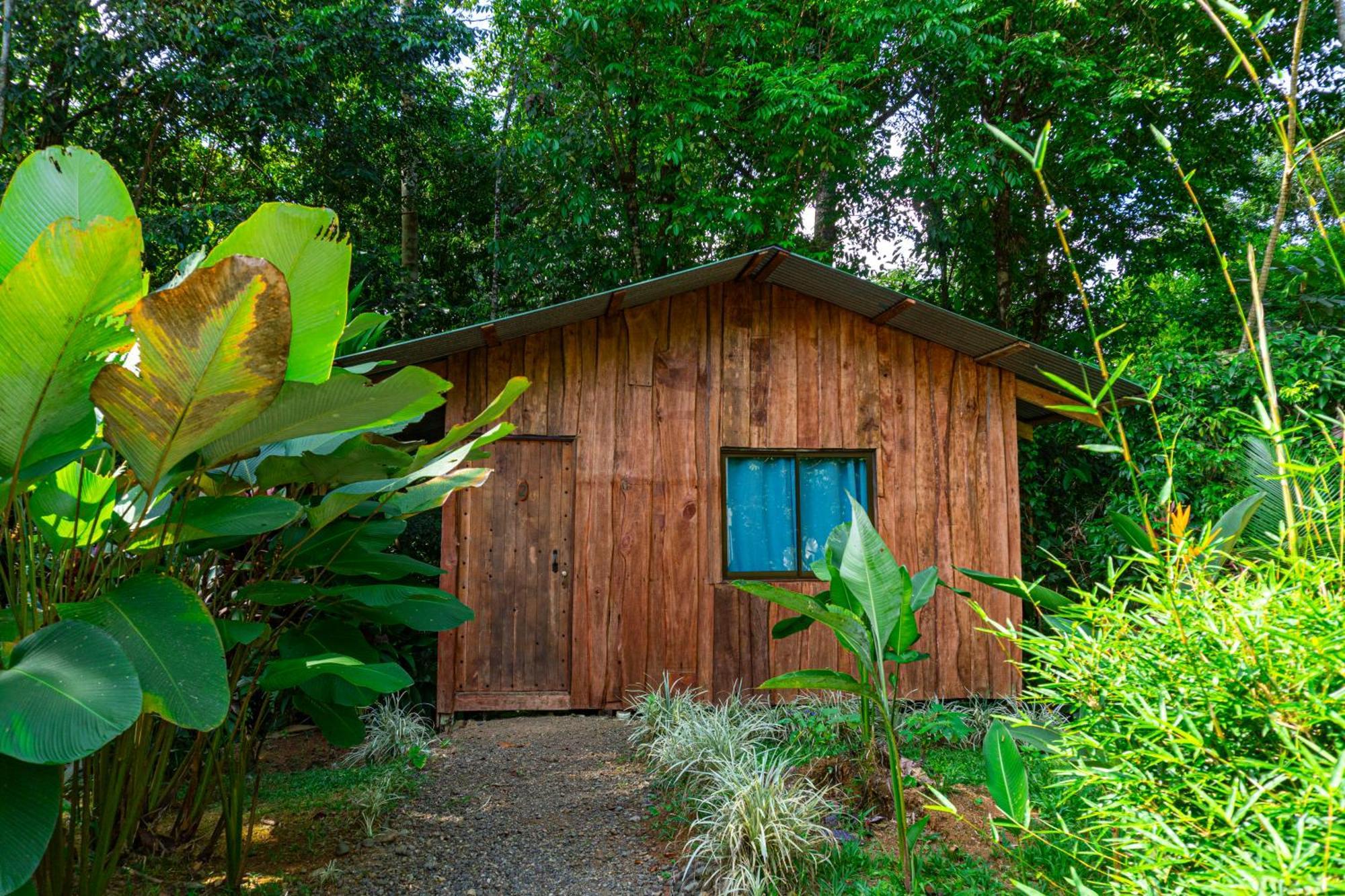 Citronela Lodge Corcovado Дрейк Екстер'єр фото