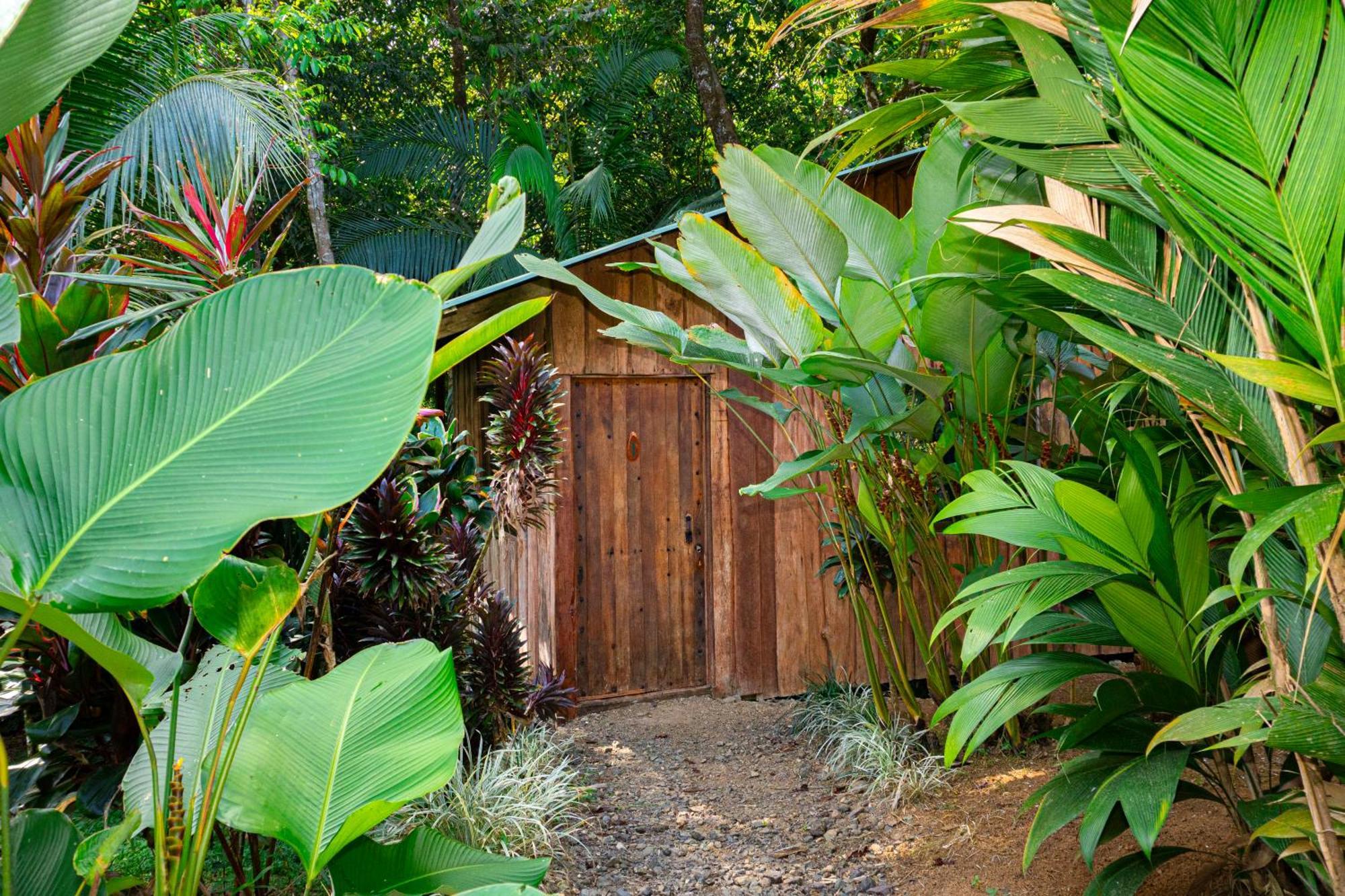 Citronela Lodge Corcovado Дрейк Екстер'єр фото