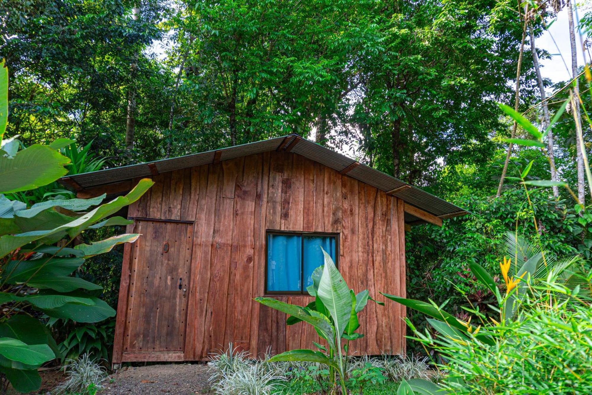 Citronela Lodge Corcovado Дрейк Екстер'єр фото