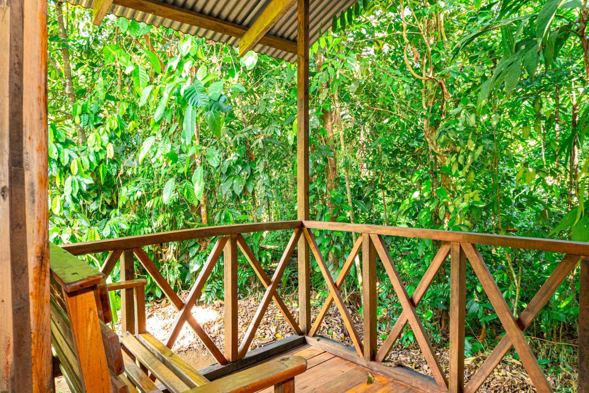 Citronela Lodge Corcovado Дрейк Екстер'єр фото
